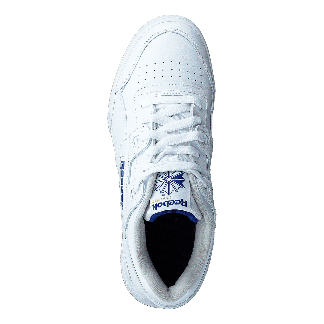 Workout Plus Wht/Royal
