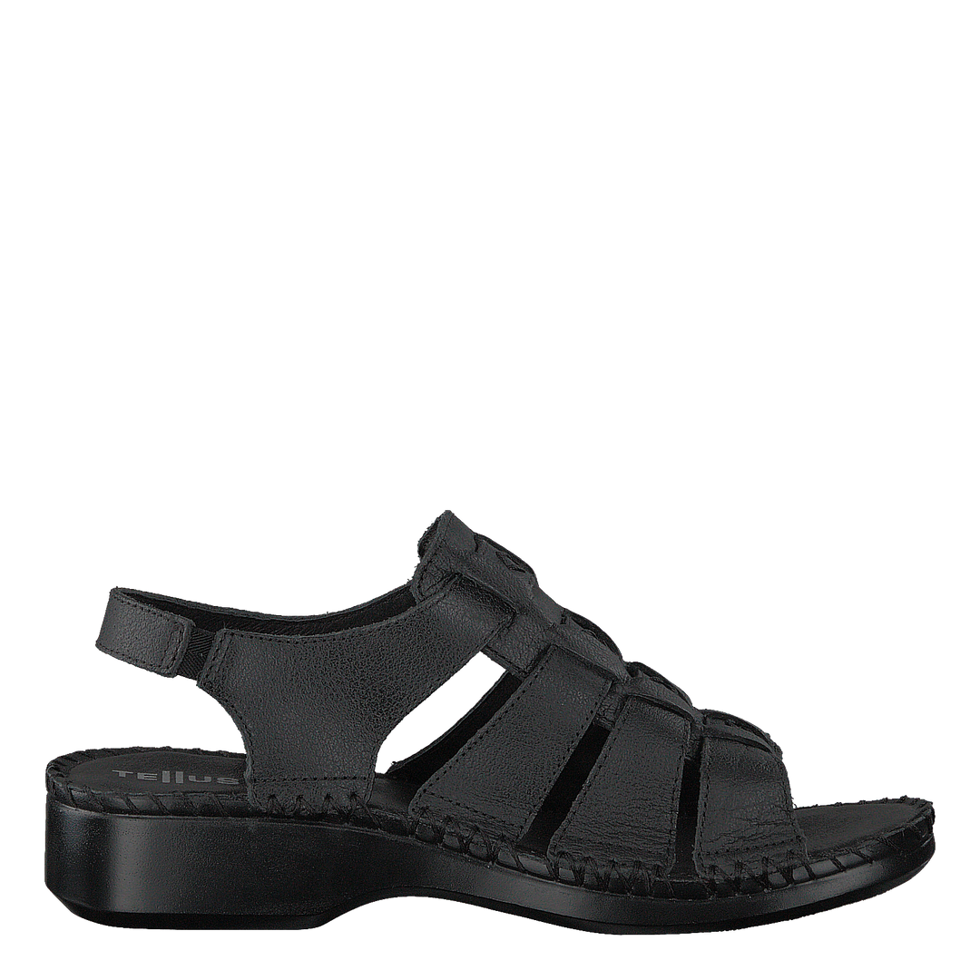 Yard Black