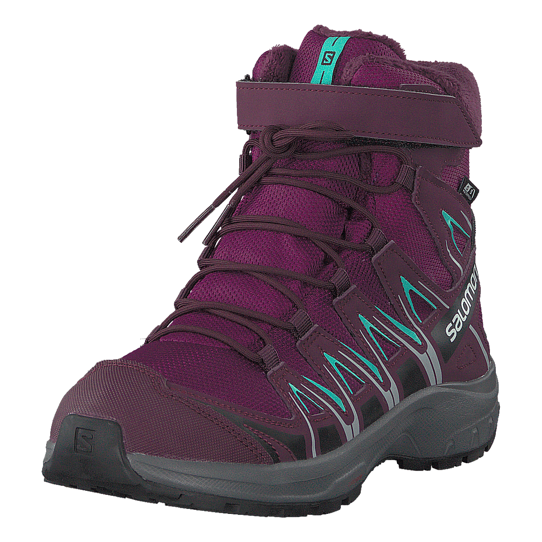 Xa Pro 3d Winter Ts Cswp J Darkpurple/potentpurple/atlant
