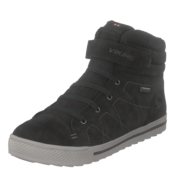 Eagle Iv Gtx Black