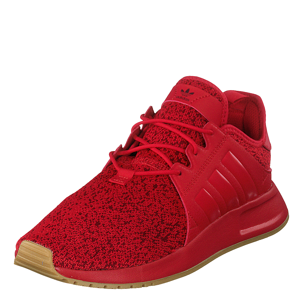 X_plr Scarle/scarle/gum3