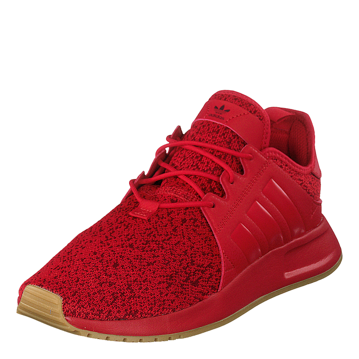 X_plr Scarle/scarle/gum3