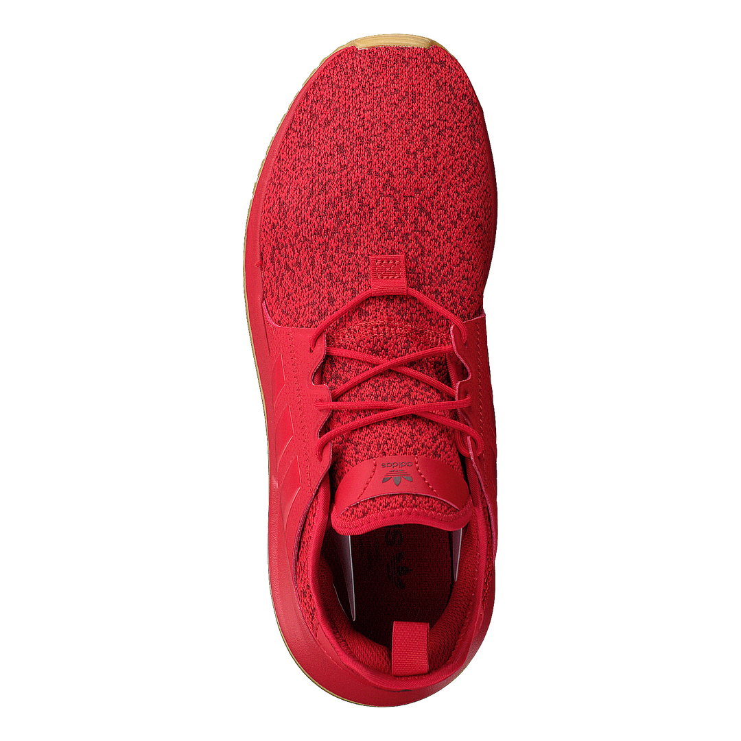 X_plr Scarle/scarle/gum3