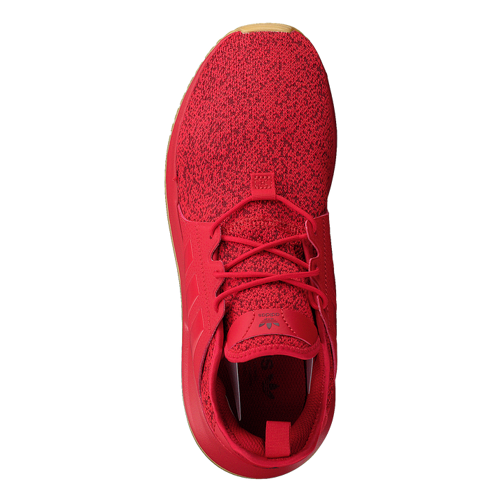X_plr Scarle/scarle/gum3