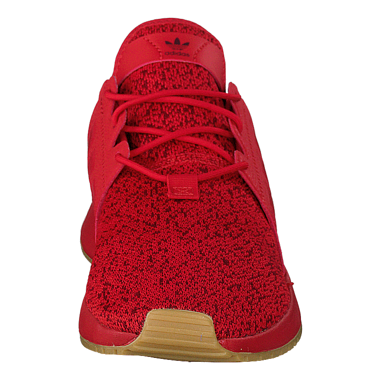 X_plr Scarle/scarle/gum3