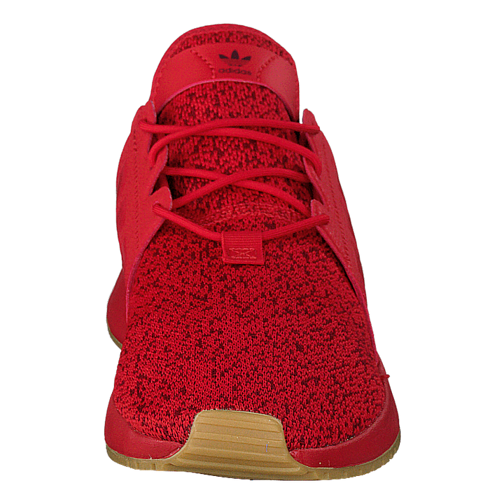 X_plr Scarle/scarle/gum3