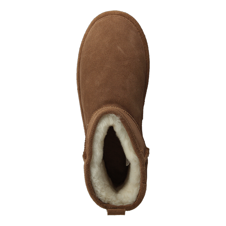Trieste Chestnut