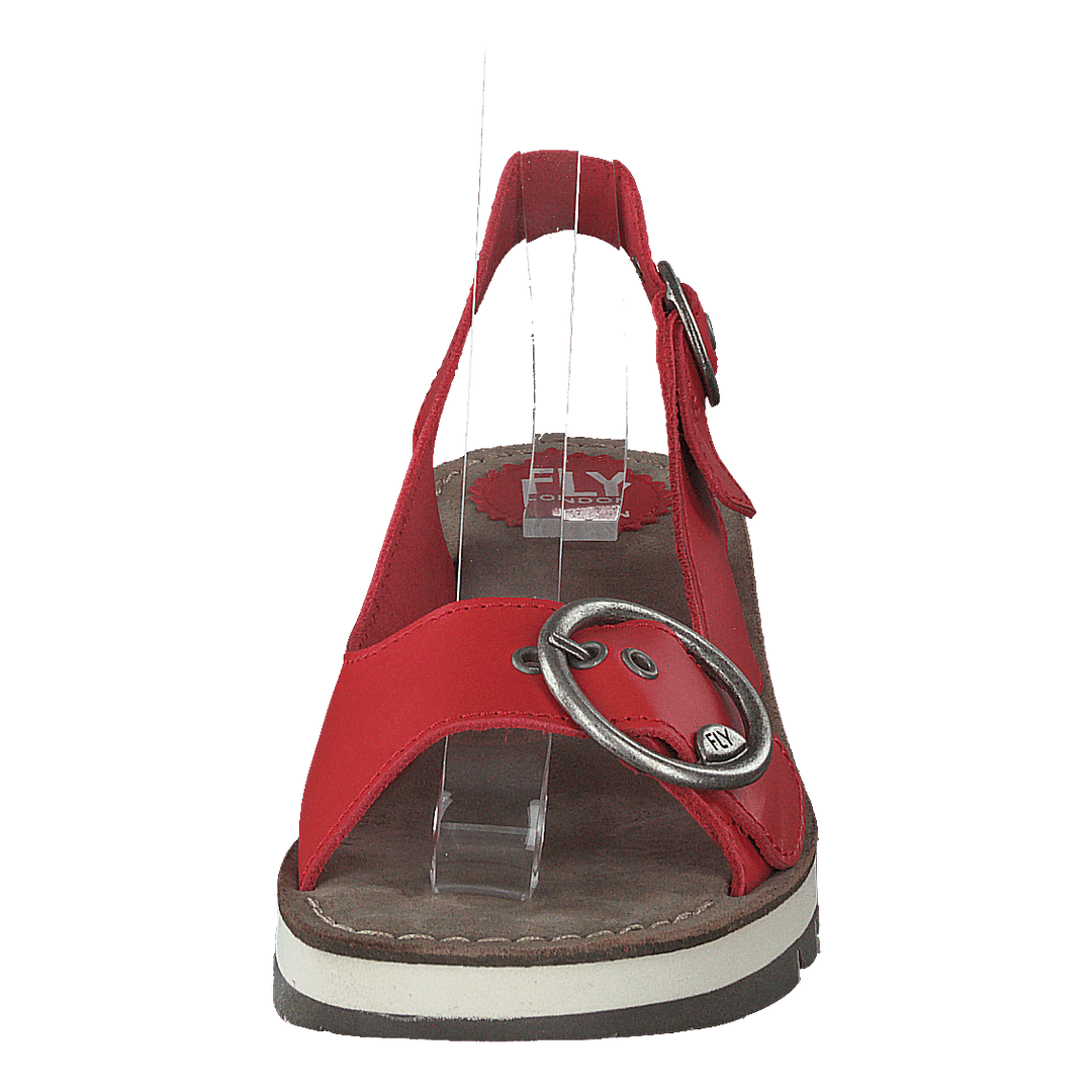 Tram 2 Bridle-scarlet