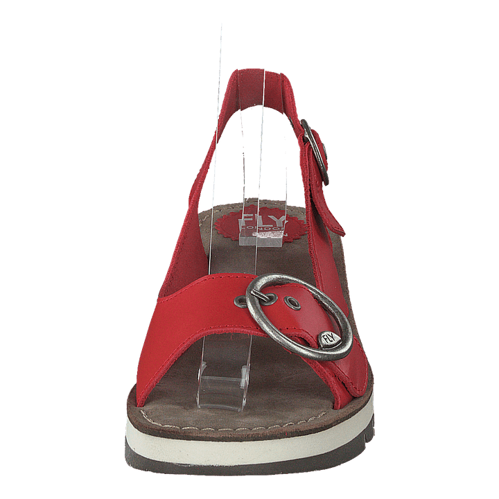 Tram 2 Bridle-scarlet