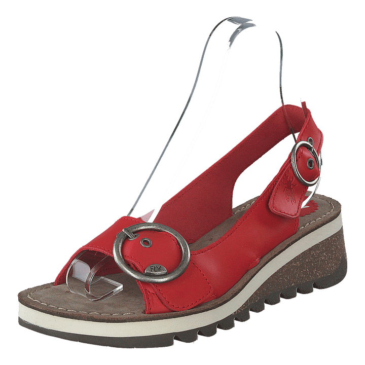 Tram 2 Bridle-scarlet