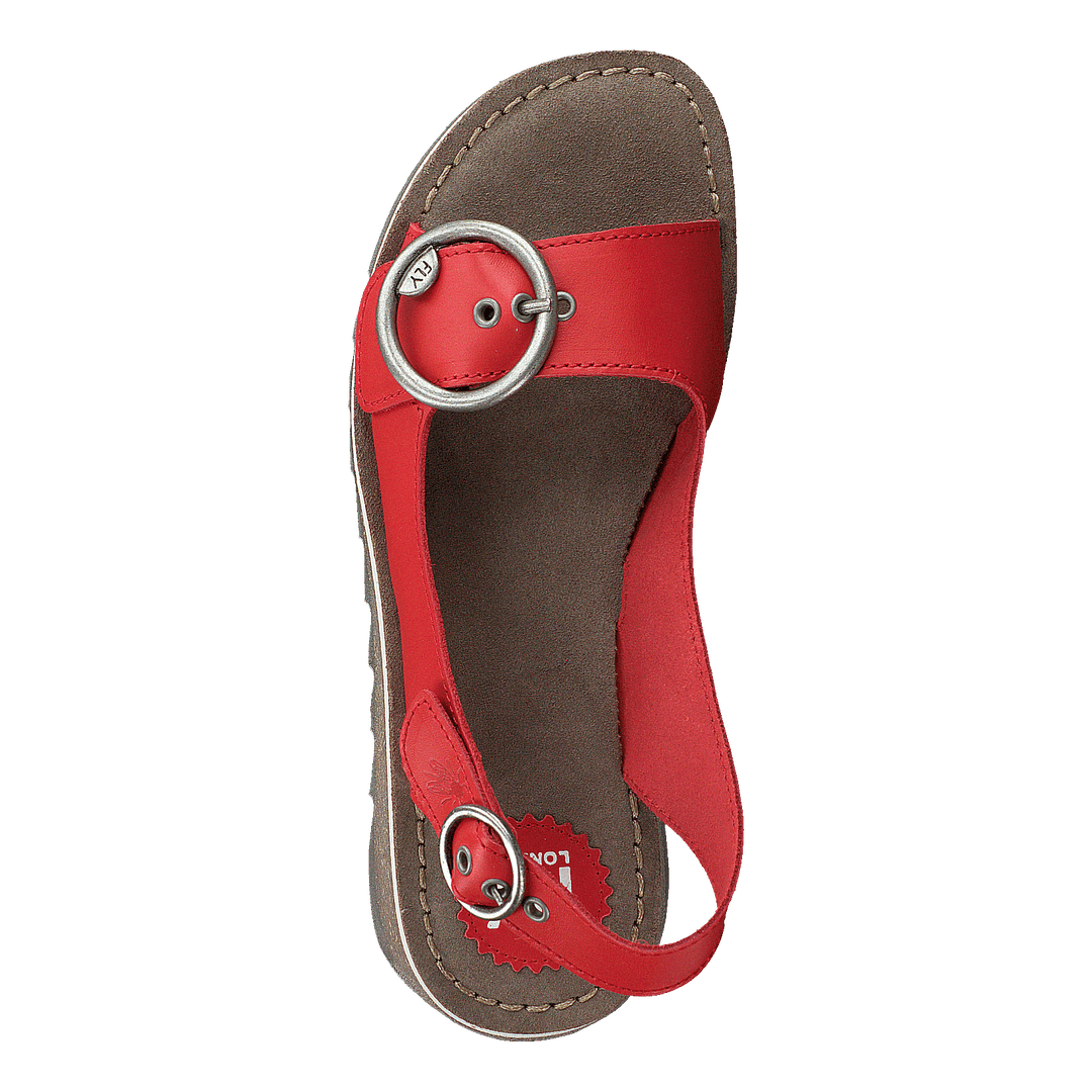 Tram 2 Bridle-scarlet