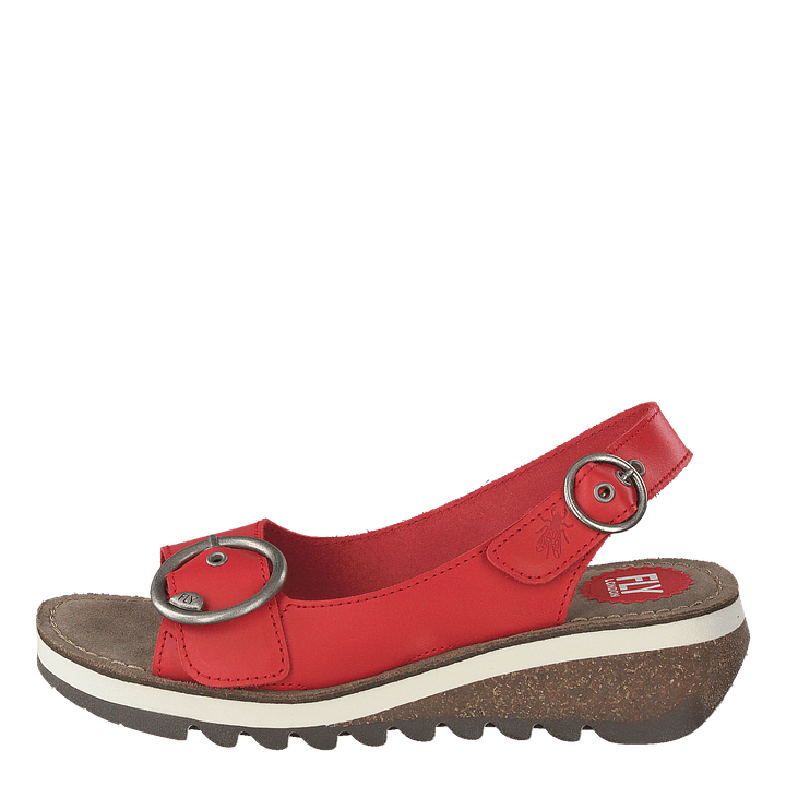 Tram 2 Bridle-scarlet
