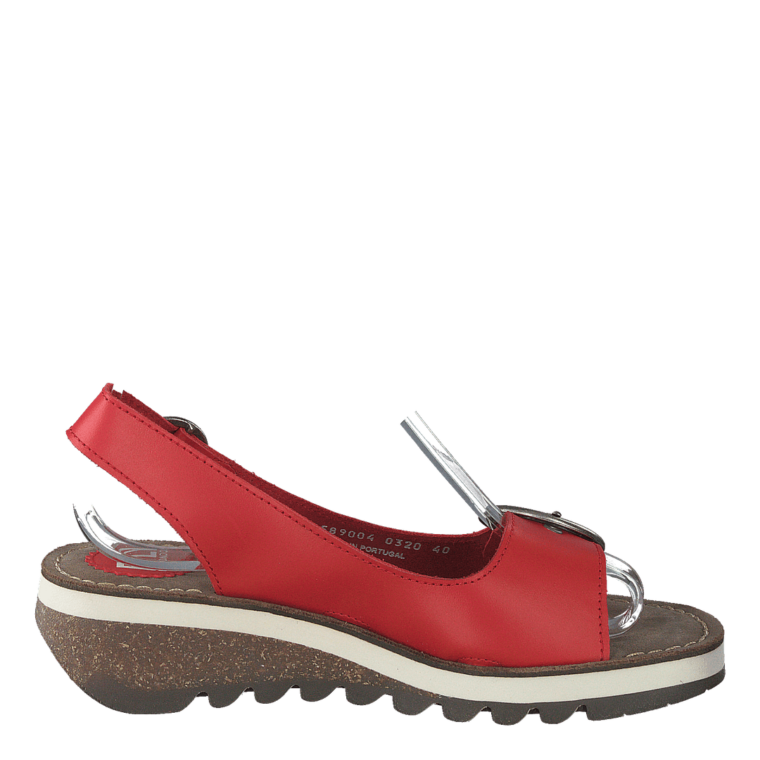 Tram 2 Bridle-scarlet