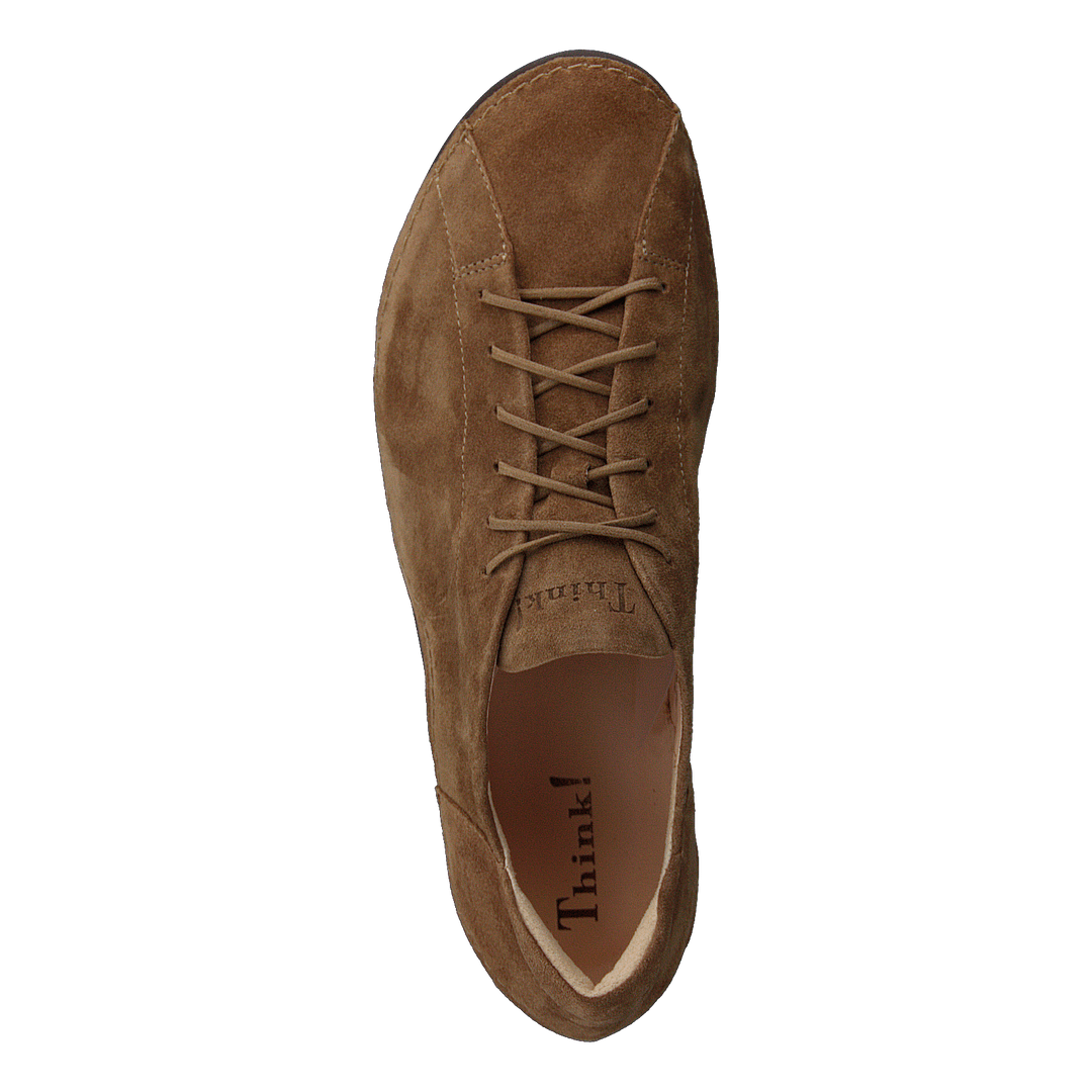 Kapsl Oak