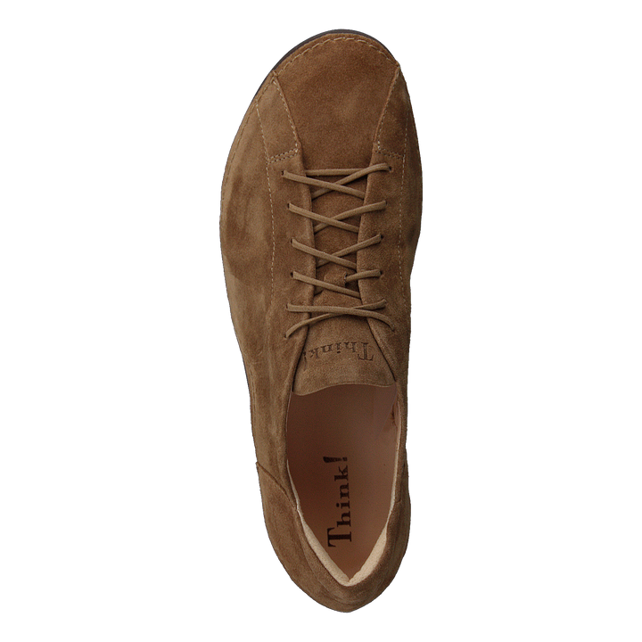 Kapsl Oak