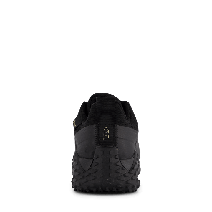 Trail Cruiser Gtx Black/black/moondust Met.