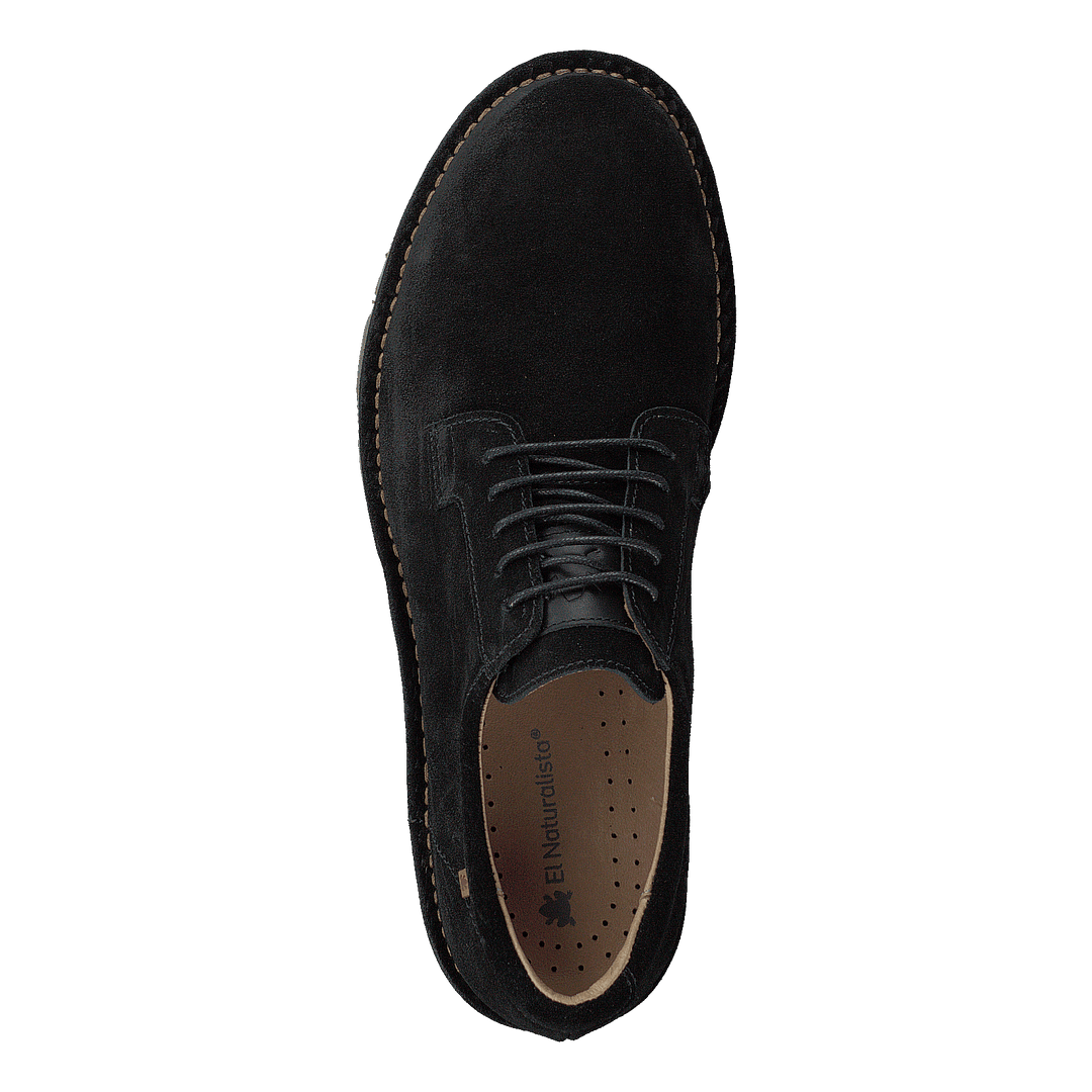 Forest Black