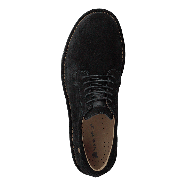 Forest Black