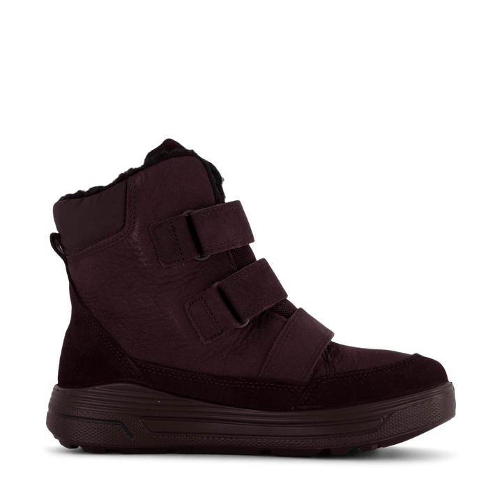 Ecco Urban Snowboarder Fig/fig/fig