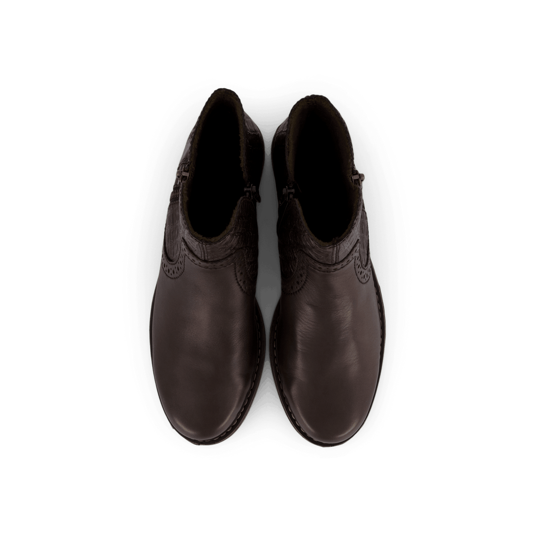 Z49a1 Brown