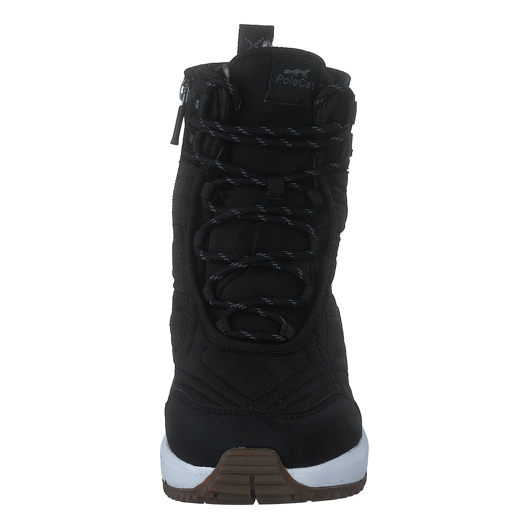 Arena Sapporo Gtx Black