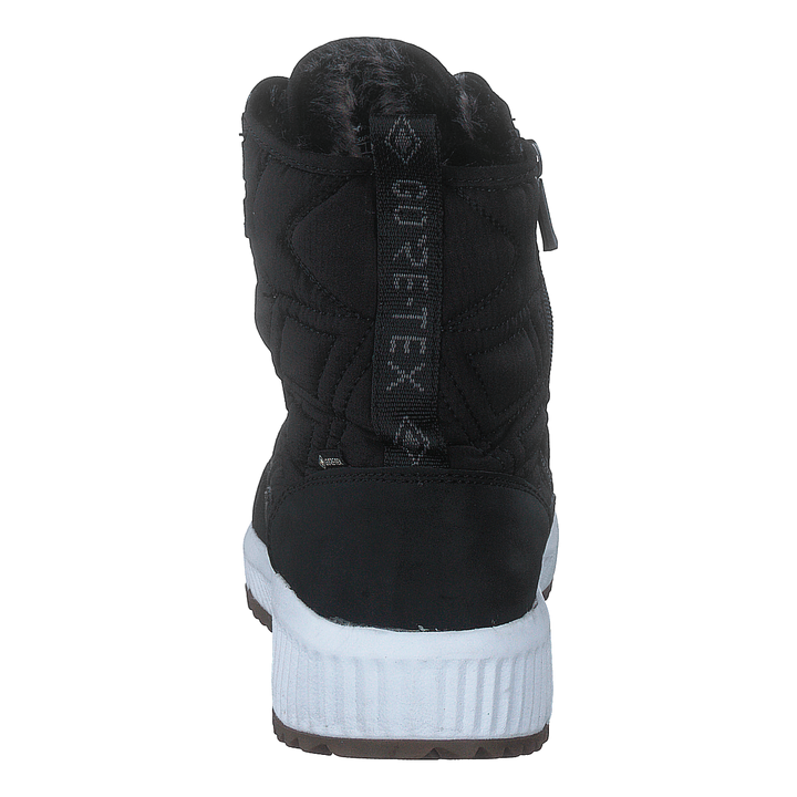 Arena Sapporo Gtx Black