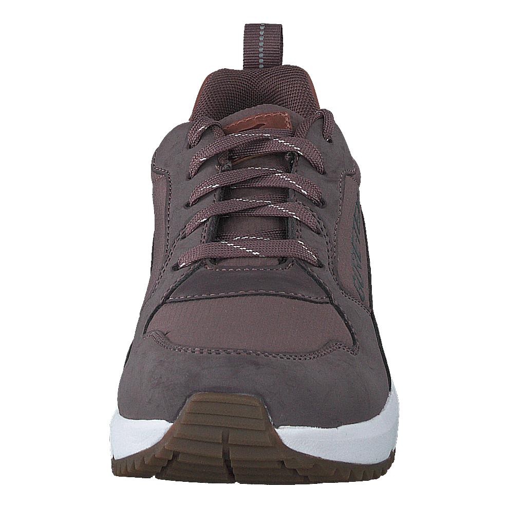 Arena Albertvil Gtx Lavender