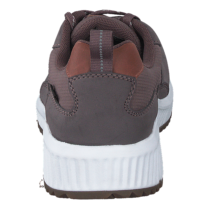 Arena Albertvil Gtx Lavender