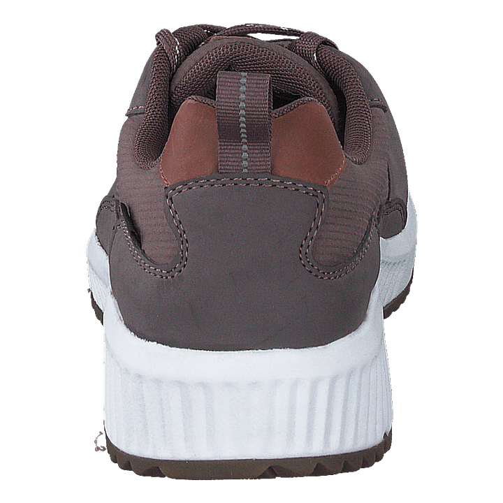 Arena Albertvil Gtx Lavender