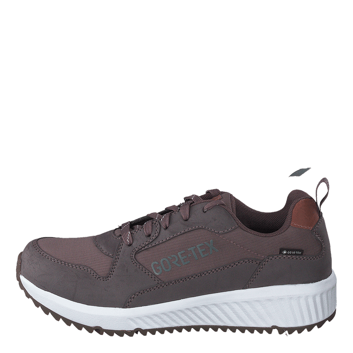 Arena Albertvil Gtx Lavender