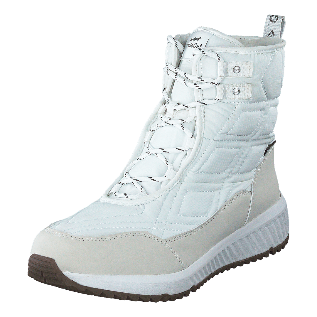 Arena Sapporo Gtx White