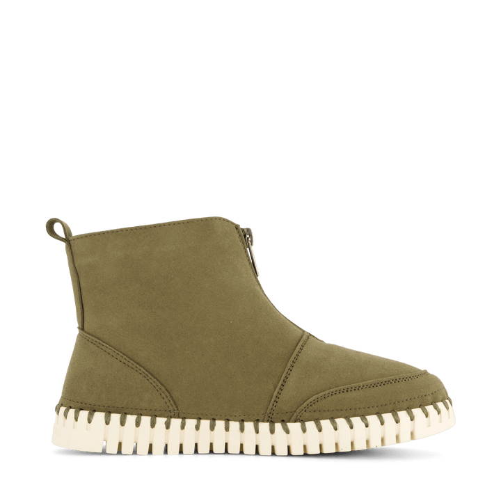 10 Tulip6071 Deep Olive