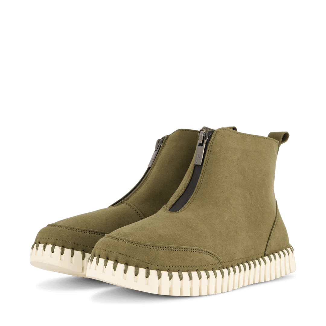10 Tulip6071 Deep Olive