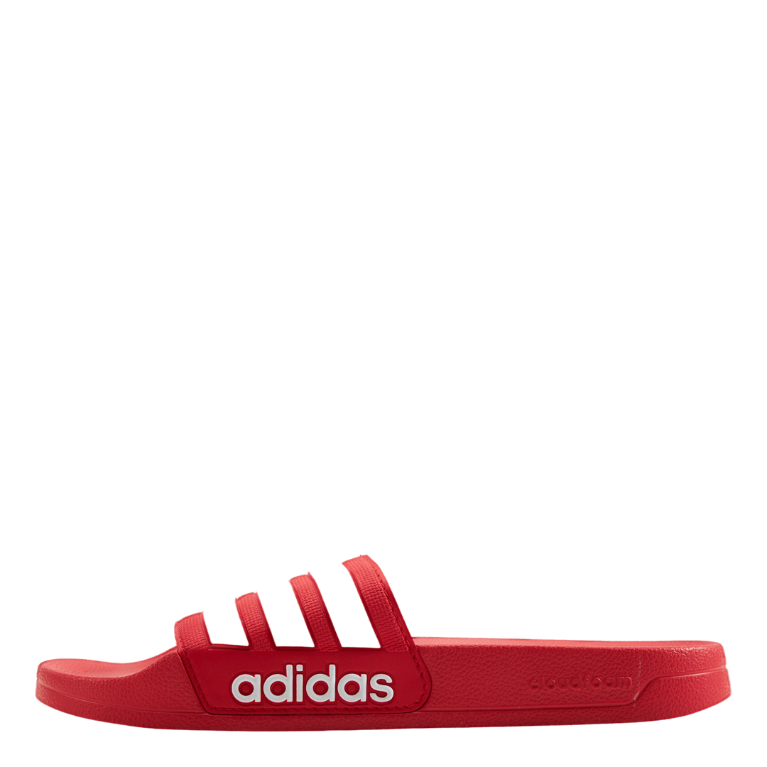 Adilette Shower Slides Vivid Red / Cloud White / Vivid Red