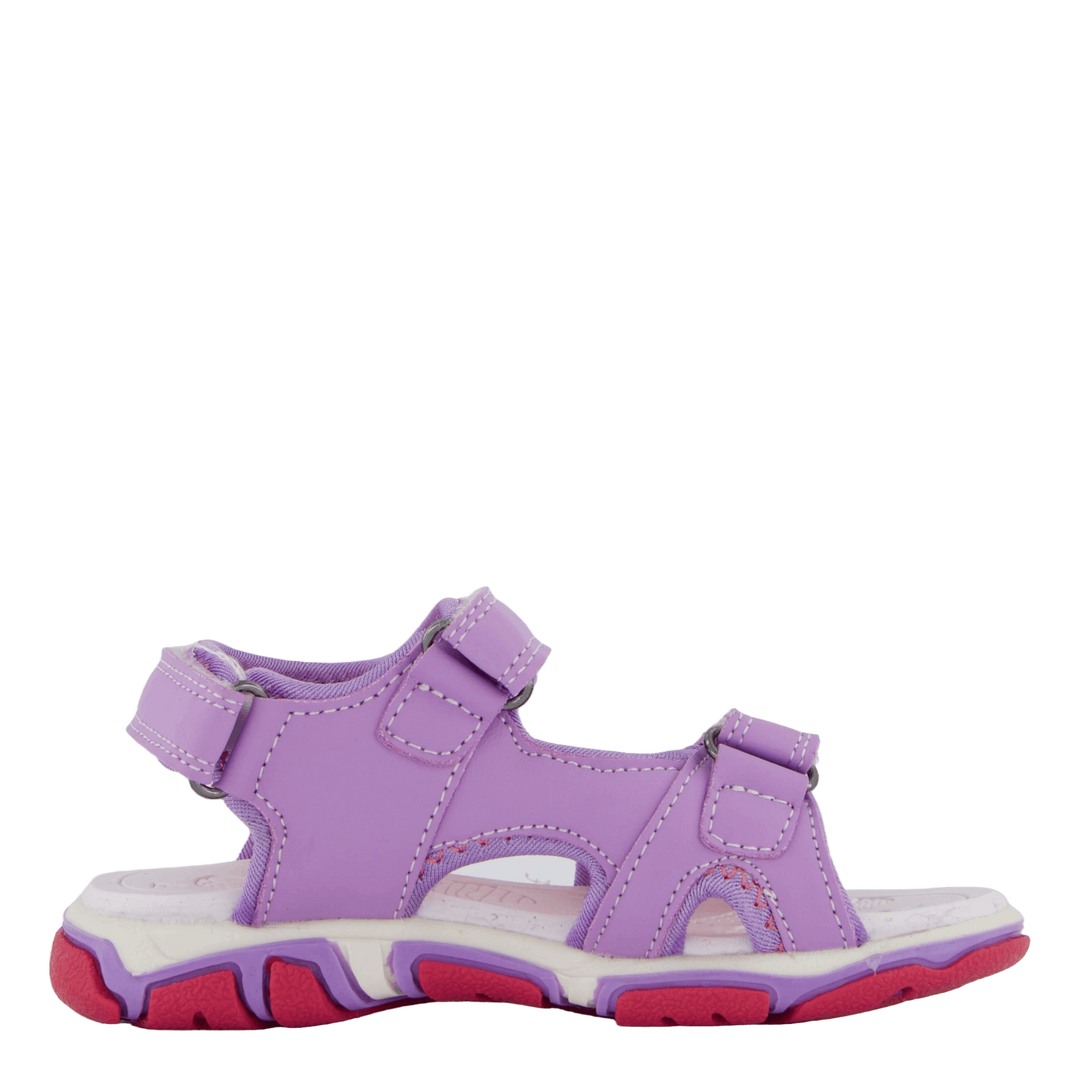 Wave Purple