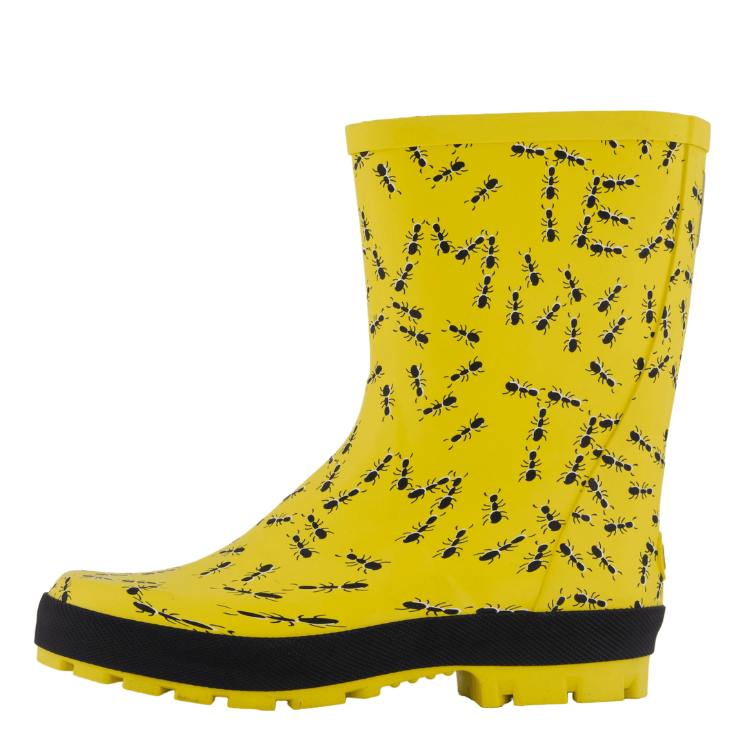 Splash Yellow Ants