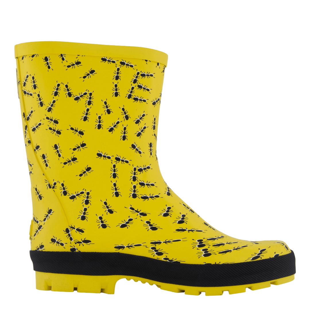 Splash Yellow Ants