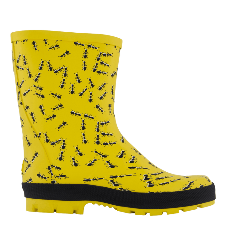 Splash Yellow Ants