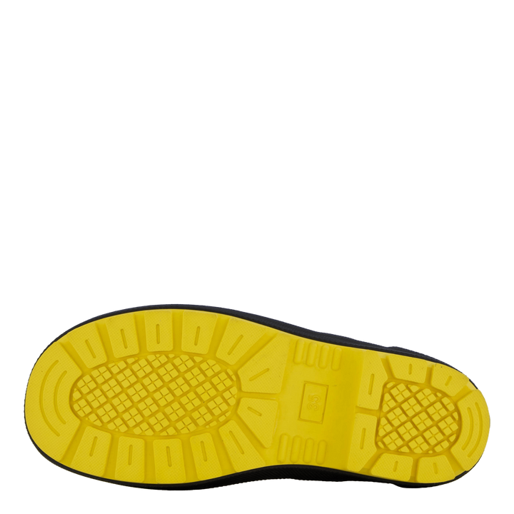 Splash Yellow Ants