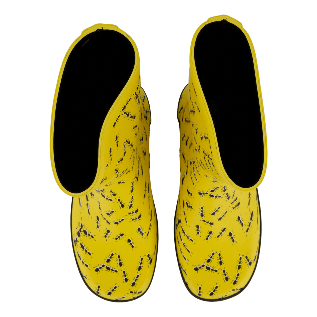 Splash Yellow Ants