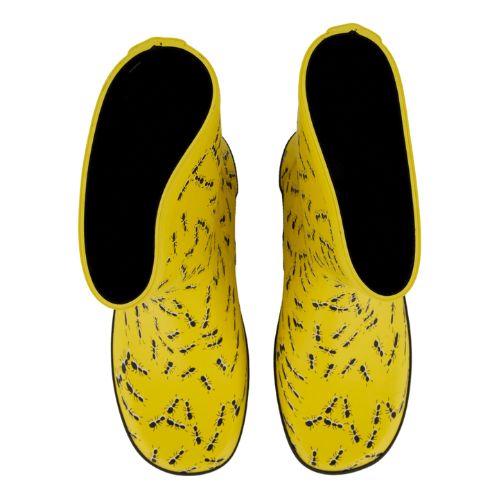 Splash Yellow Ants