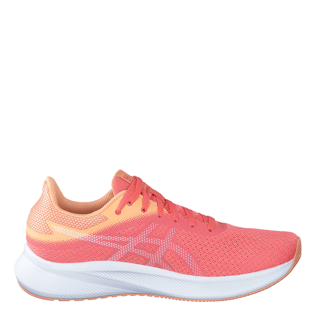 Patriot 13 Papaya/white