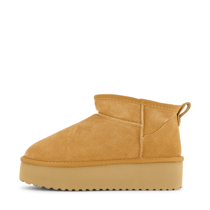 71-63501 Camel