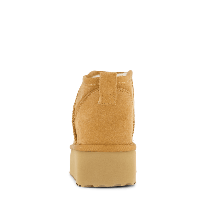 71-63501 Camel
