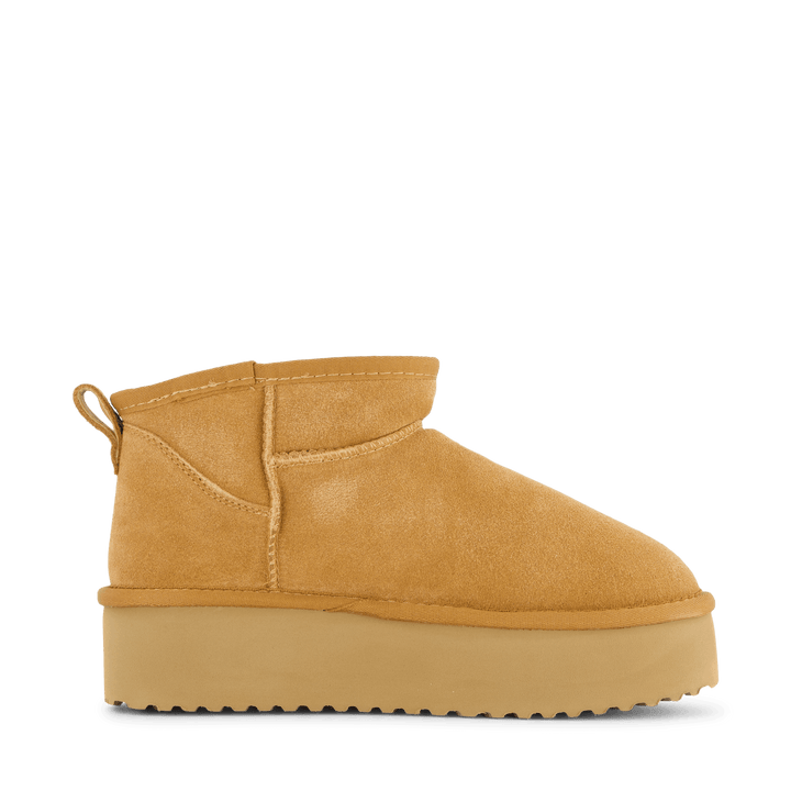 71-63501 Camel