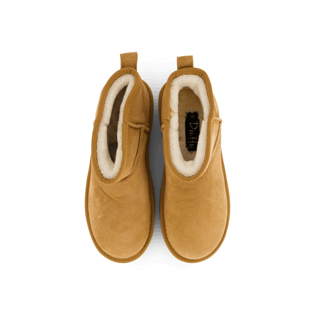 71-63501 Camel