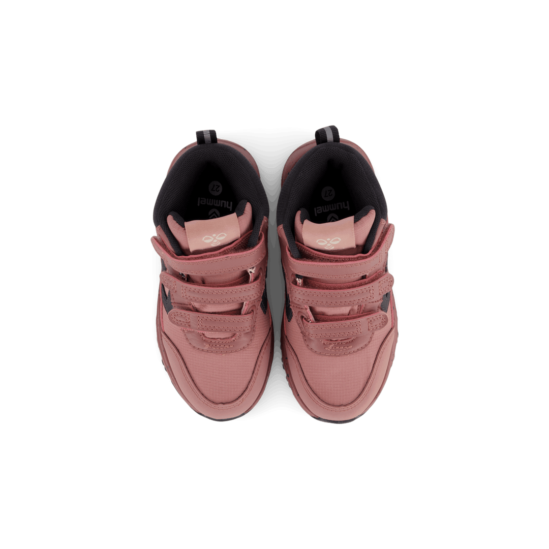 Root Tex Infant Nostalgia Rose