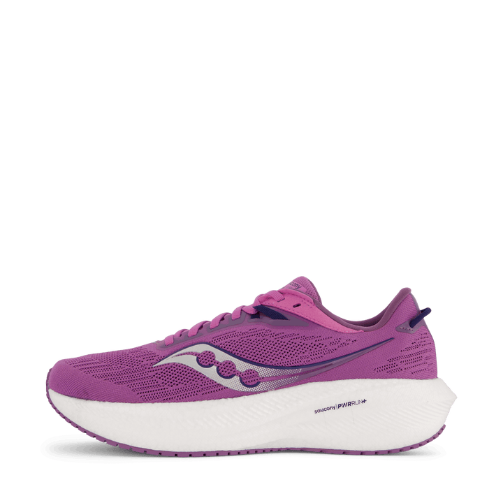Triumph 21 Grape/indigo