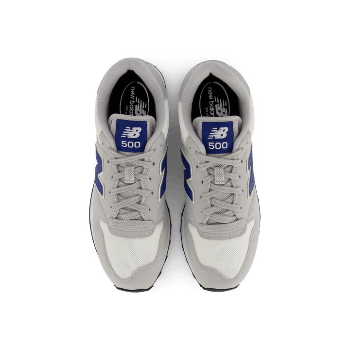 Gm500mo2 Raincloud (161)