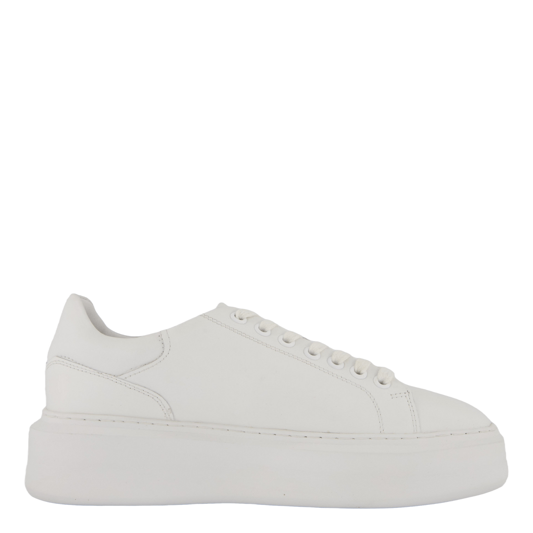 6640-73 White Nappa 73
